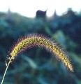 1998